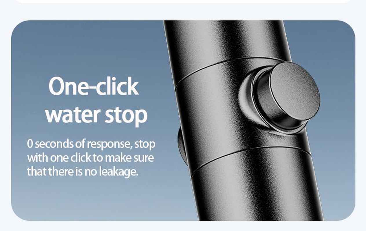 6-Function High-Pressure Shower Head